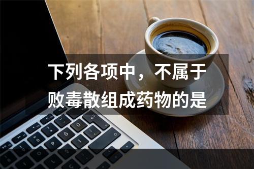 下列各项中，不属于败毒散组成药物的是