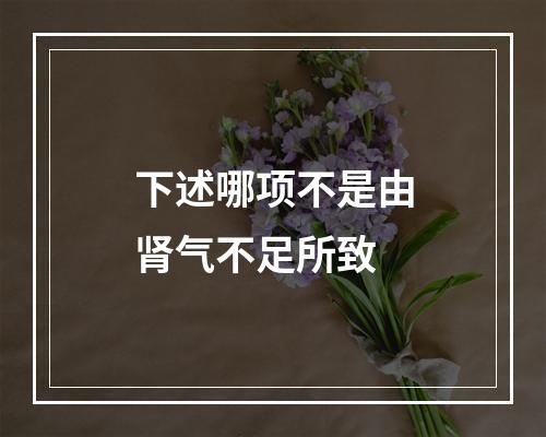 下述哪项不是由肾气不足所致