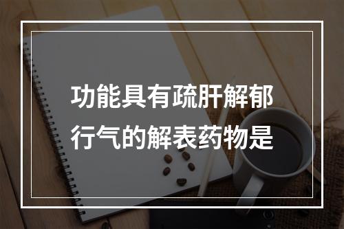 功能具有疏肝解郁行气的解表药物是