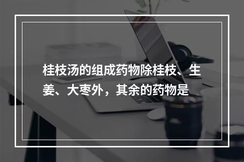 桂枝汤的组成药物除桂枝、生姜、大枣外，其余的药物是