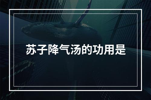 苏子降气汤的功用是