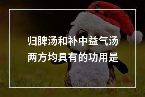 归脾汤和补中益气汤两方均具有的功用是