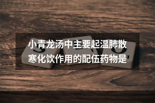 小青龙汤中主要起温肺散寒化饮作用的配伍药物是