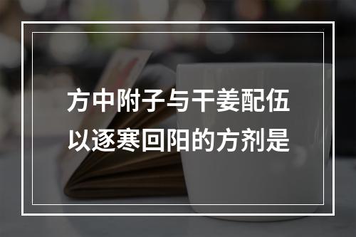 方中附子与干姜配伍以逐寒回阳的方剂是