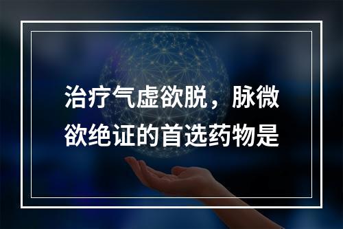 治疗气虚欲脱，脉微欲绝证的首选药物是