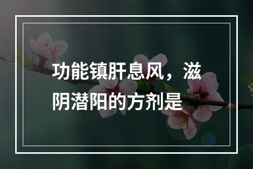 功能镇肝息风，滋阴潜阳的方剂是