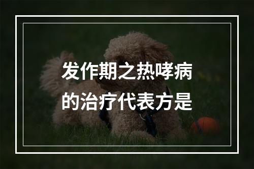 发作期之热哮病的治疗代表方是