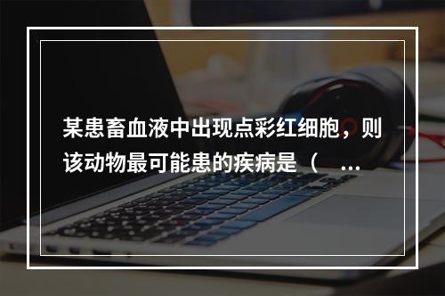 某患畜血液中出现点彩红细胞，则该动物最可能患的疾病是（　　