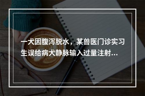 一犬因腹泻脱水，某兽医门诊实习生误给病犬静脉输入过量注射用