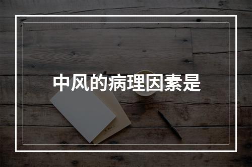 中风的病理因素是