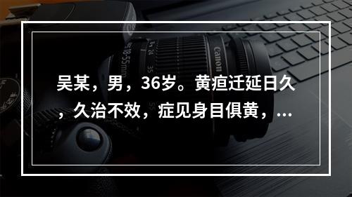 吴某，男，36岁。黄疸迁延日久，久治不效，症见身目俱黄，黄色