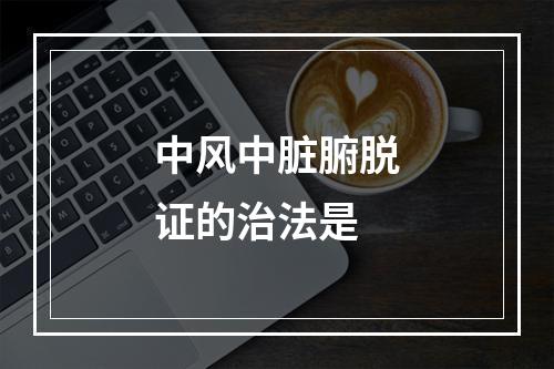 中风中脏腑脱证的治法是