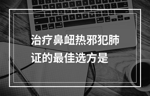 治疗鼻衄热邪犯肺证的最佳选方是