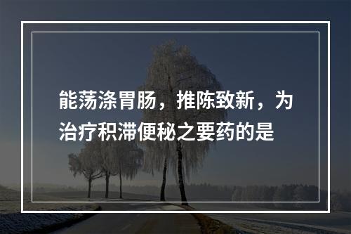 能荡涤胃肠，推陈致新，为治疗积滞便秘之要药的是