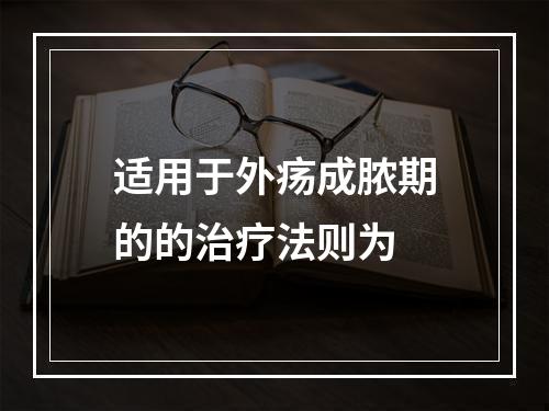 适用于外疡成脓期的的治疗法则为