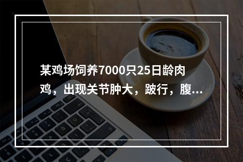 某鸡场饲养7000只25日龄肉鸡，出现关节肿大，跛行，腹泻