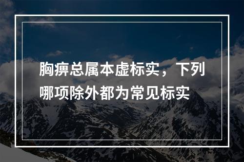 胸痹总属本虚标实，下列哪项除外都为常见标实