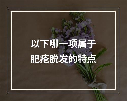 以下哪一项属于肥疮脱发的特点