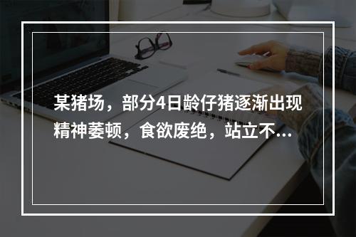 某猪场，部分4日龄仔猪逐渐出现精神萎顿，食欲废绝，站立不稳