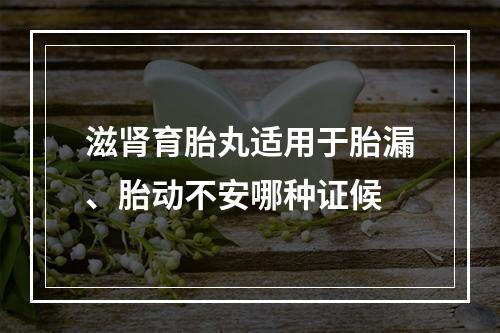 滋肾育胎丸适用于胎漏、胎动不安哪种证候