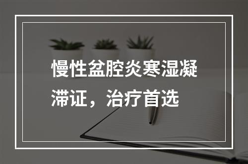 慢性盆腔炎寒湿凝滞证，治疗首选