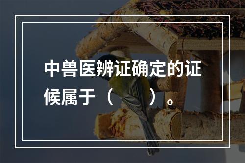 中兽医辨证确定的证候属于（　　）。