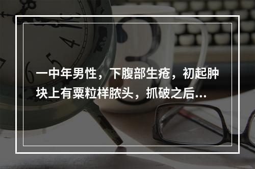 一中年男性，下腹部生疮，初起肿块上有粟粒样脓头，抓破之后肿痛