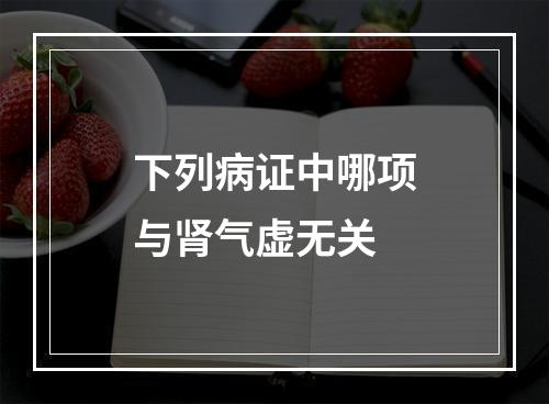 下列病证中哪项与肾气虚无关