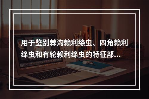 用于鉴别棘沟赖利绦虫、四角赖利绦虫和有轮赖利绦虫的特征部位