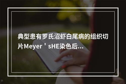 典型患有罗氏沼虾白尾病的组织切片Meyer＇sHE染色后可发