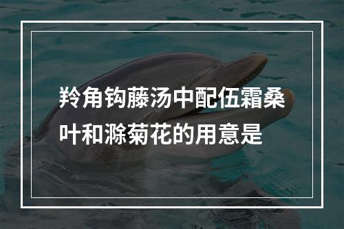 羚角钩藤汤中配伍霜桑叶和滁菊花的用意是