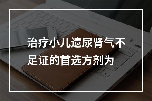 治疗小儿遗尿肾气不足证的首选方剂为