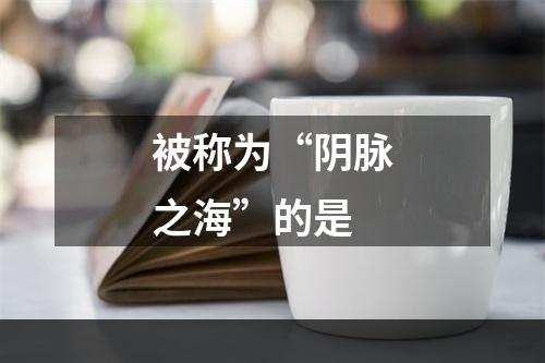 被称为“阴脉之海”的是