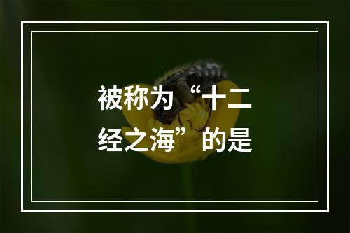 被称为“十二经之海”的是