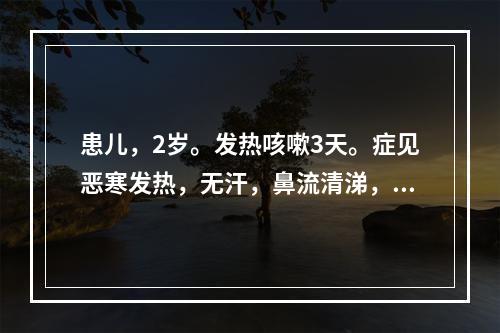 患儿，2岁。发热咳嗽3天。症见恶寒发热，无汗，鼻流清涕，呛咳