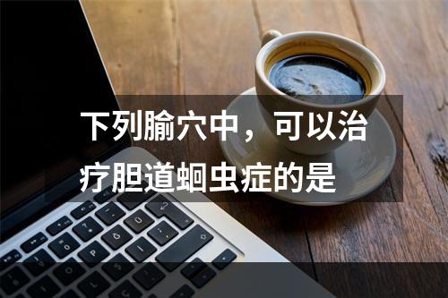 下列腧穴中，可以治疗胆道蛔虫症的是