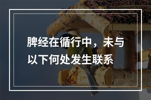 脾经在循行中，未与以下何处发生联系