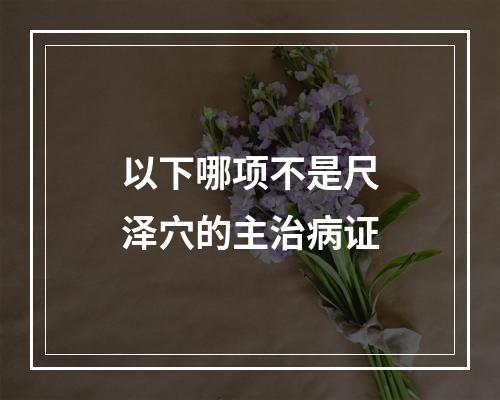 以下哪项不是尺泽穴的主治病证