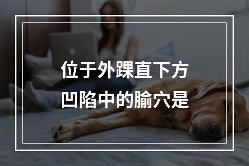 位于外踝直下方凹陷中的腧穴是