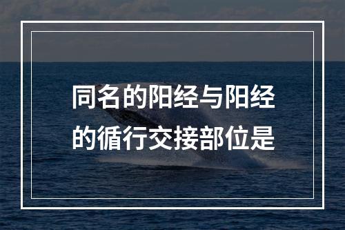 同名的阳经与阳经的循行交接部位是