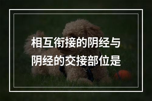 相互衔接的阴经与阴经的交接部位是