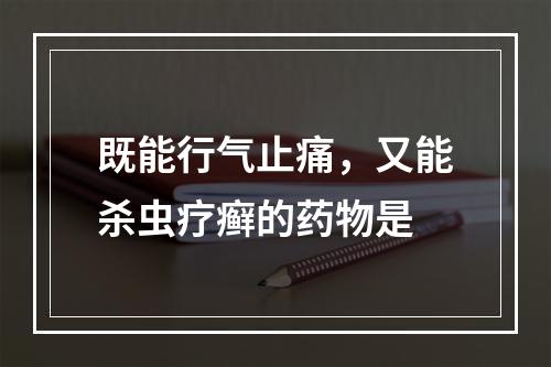 既能行气止痛，又能杀虫疗癣的药物是