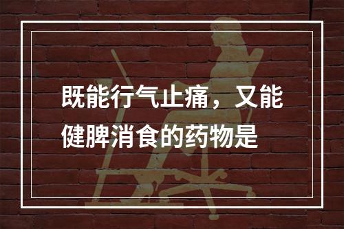 既能行气止痛，又能健脾消食的药物是