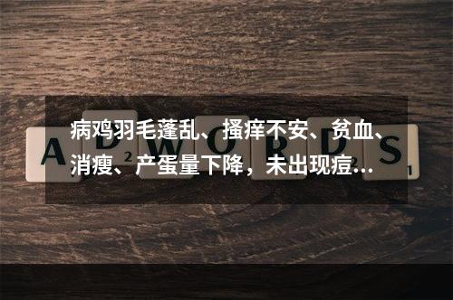 病鸡羽毛蓬乱、搔痒不安、贫血、消瘦、产蛋量下降，未出现痘状