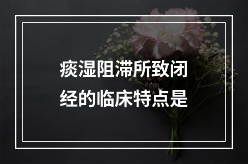 痰湿阻滞所致闭经的临床特点是