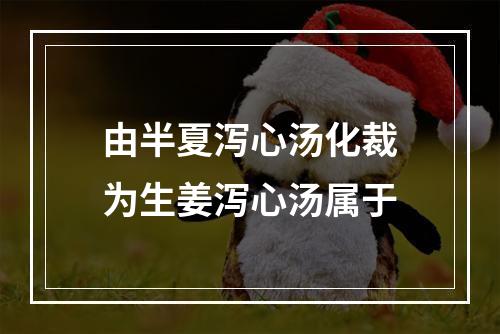 由半夏泻心汤化裁为生姜泻心汤属于