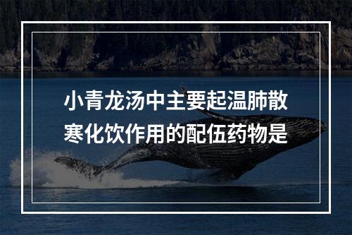 小青龙汤中主要起温肺散寒化饮作用的配伍药物是