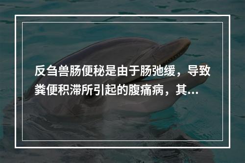 反刍兽肠便秘是由于肠弛缓，导致粪便积滞所引起的腹痛病，其临