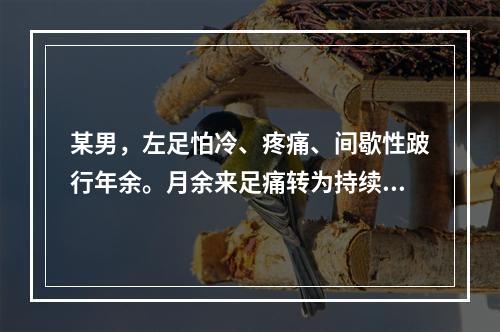 某男，左足怕冷、疼痛、间歇性跛行年余。月余来足痛转为持续性静