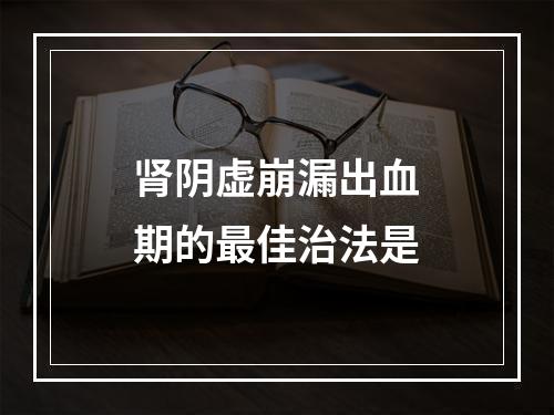 肾阴虚崩漏出血期的最佳治法是